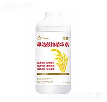 早熟鼓粒精華素-中裕科技