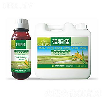 硅稻佳-中?？萍? />
                                </div>
                            </div>
                            
                            <style type=