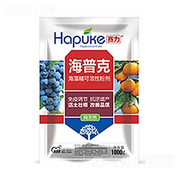 ِ�����տ�-�����Ƽ�