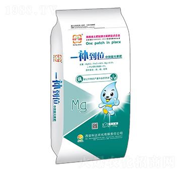 中微量元素肥-一補(bǔ)到位-科達(dá)農(nóng)化