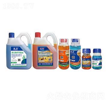 41%�ݸ�좮������}-�֌�+Ӎ�W-���A