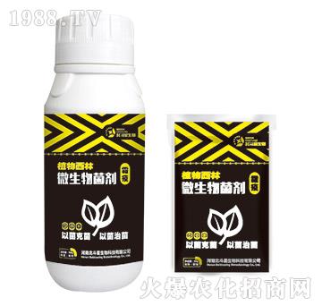 ˪�ߌ���΢�������-ֲ������-������