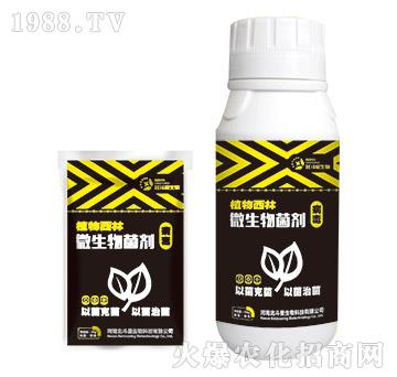 ��������΢�������-ֲ������-������