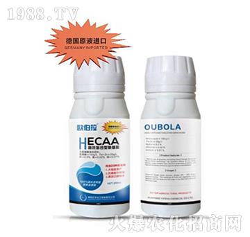 ��Ч�����Ͱ����Ậ������Һ�B(t��i)��-�W����-�|�S����