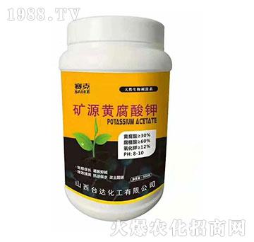 �VԴ�S�����-ِ��-�_�_(d��)