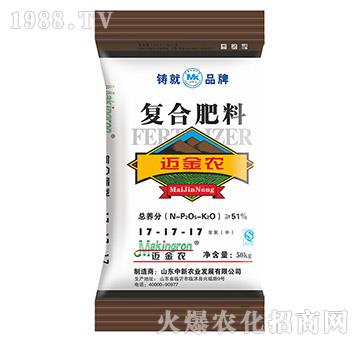 �ͺϷ���17-17-1