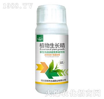 植物生長精-為峰