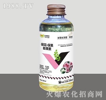 ���������������-�R�Sֲ��