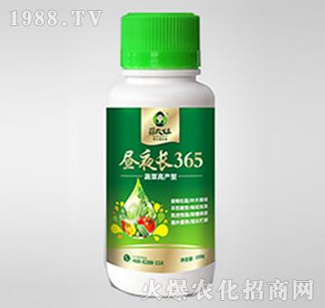 蔬菜高產(chǎn)型晝夜長365-蓓大姐