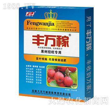 ����(sh��)������(zhu��n)�÷�-����(sh��)��