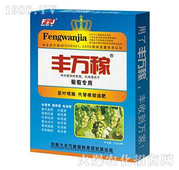 ���ь�(zhu��n)�÷�-��������I(y��ng)