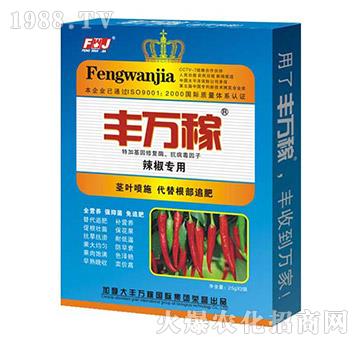 ������(zhu��n)��-�����������I(y��ng)