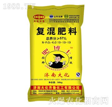 復混肥料19-19-19-大化齊魯