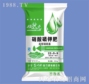 ������⛷�22-9-9-����Ԫ-��W