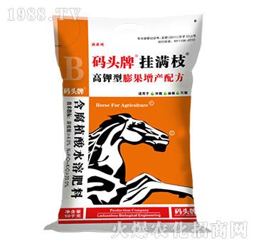 高鉀型膨果增產(chǎn)配方-碼頭牌掛滿(mǎn)枝-樂(lè)多收
