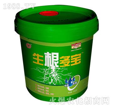 生根多寶-美邦科技