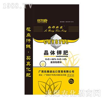 ���w⛷�-�հ����r