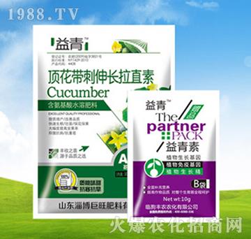 頂花帶刺伸長拉直素+益青素-豐農農化