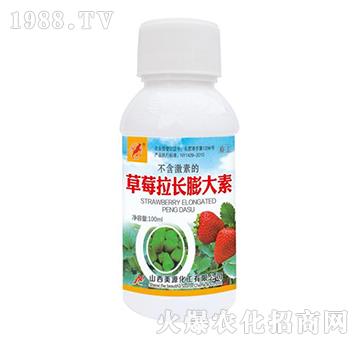 草莓拉長(zhǎng)膨大素-美源化工