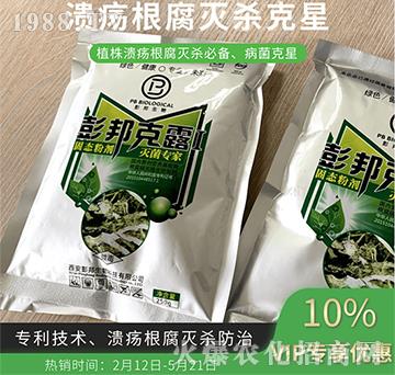 潰瘍根腐滅殺克星-彭邦克露-彭邦生物