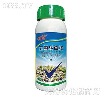 25��ÿ������ǲݰ�-����-���r��