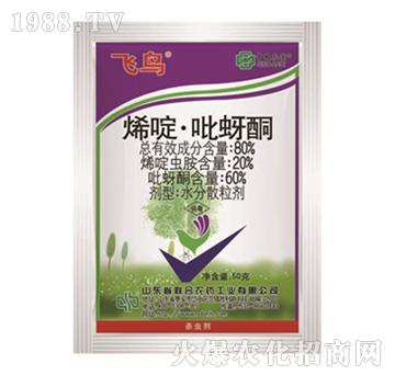 80%ϩड�����ͪ-�w