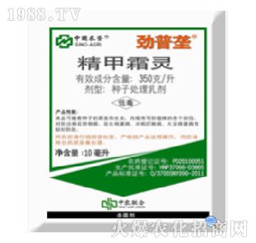 350��ÿ������˪�`-