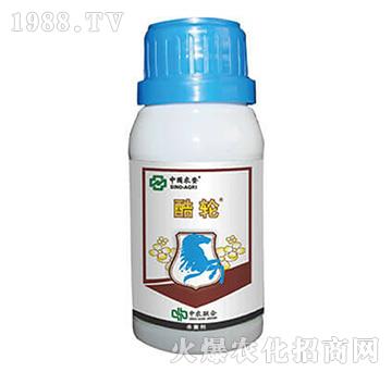 25%���r��-��݆-��