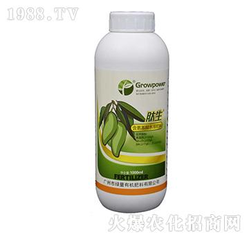 含氨基酸水溶肥料-肽生（1000ml）-綠量