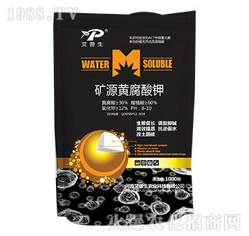 �VԴ�S�����-������