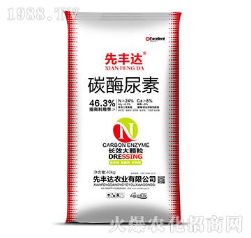 碳酶尿素-先豐達