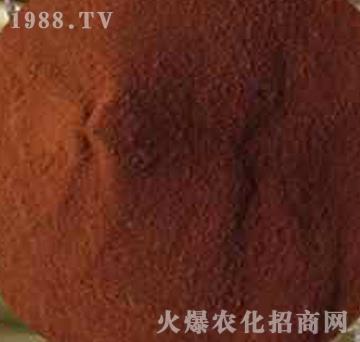 �����S�����-��(sh��)��