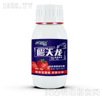 地上膨果專(zhuān)用-膨天龍-索菲亞