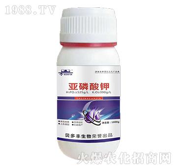 �������-ؐ���S