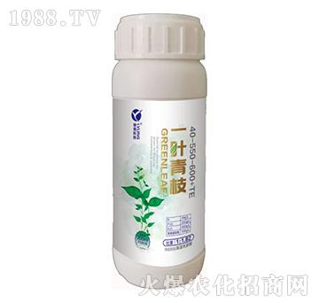 一葉青枝-華宜眾和