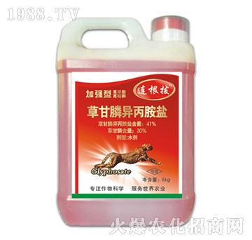 41%�ݸ�좮������}���ӏ�(qi��ng)�ͣ�-�B����-�ݵ�˹