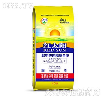 ���ȩ��ጏͺϷ�28-6-6-�t̫�-�G��