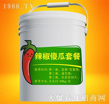 辣椒傻瓜套餐-實(shí)禾