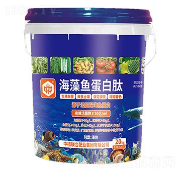 海藻魚(yú)蛋白肽-中植聯(lián)合