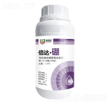 300g倍達·硼-瑞倍達