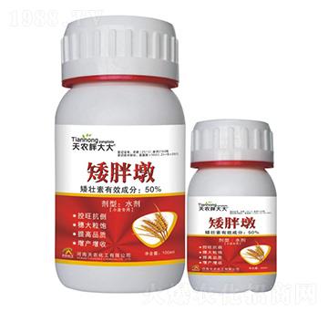 小麥專用-矮胖墩-天農胖大大-天農化工