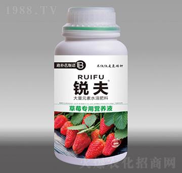 草莓專用營養(yǎng)液-銳夫-迪樸芭斯諾