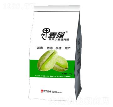 高效小麥返青肥-九甲農(nóng)業(yè)