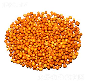 ����n�w����ጷ�15-