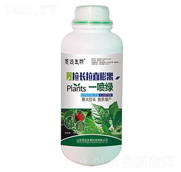 拉長拉直膨果一噴綠-蒼遠生物