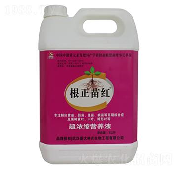 超濃縮營養(yǎng)液-根正苗紅-盛大生物