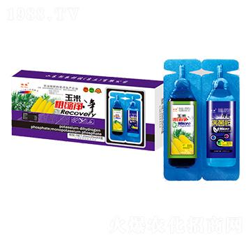 玉米粗縮凈-瑞春-新農(nóng)