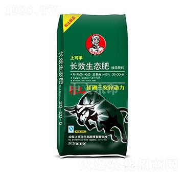 �LЧ���B(t��i)��20-20-6-�Ͽ��S-���r����