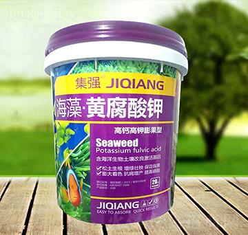 高鈣高鉀膨果型-海藻黃腐酸鉀-綠豐源