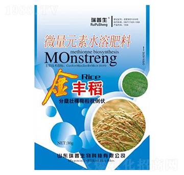 金豐稻-瑞普生物